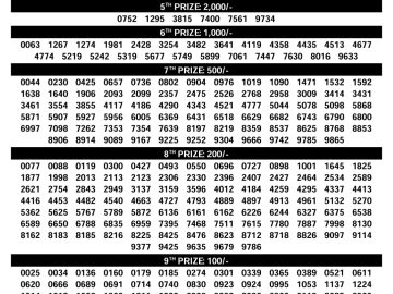 Kerala Lottery Result – DhanaLekshmi Draw | 17 June 2026