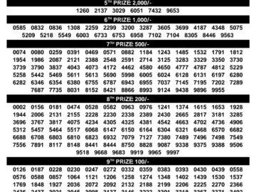 Kerala Lottery Result – Karunya Plus Draw | 03 September 2026